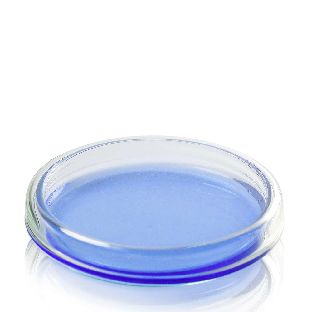 80 × 15 mm Soda-lime Glass Petri Dish